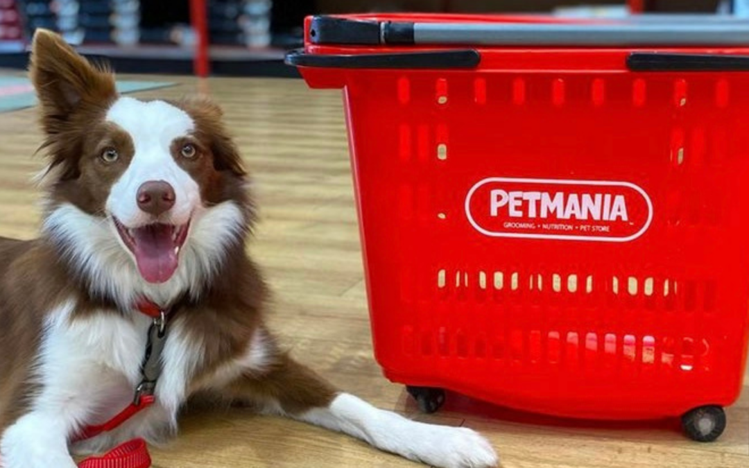 SUMMER SALE IS NOW ON AT PETMANIA